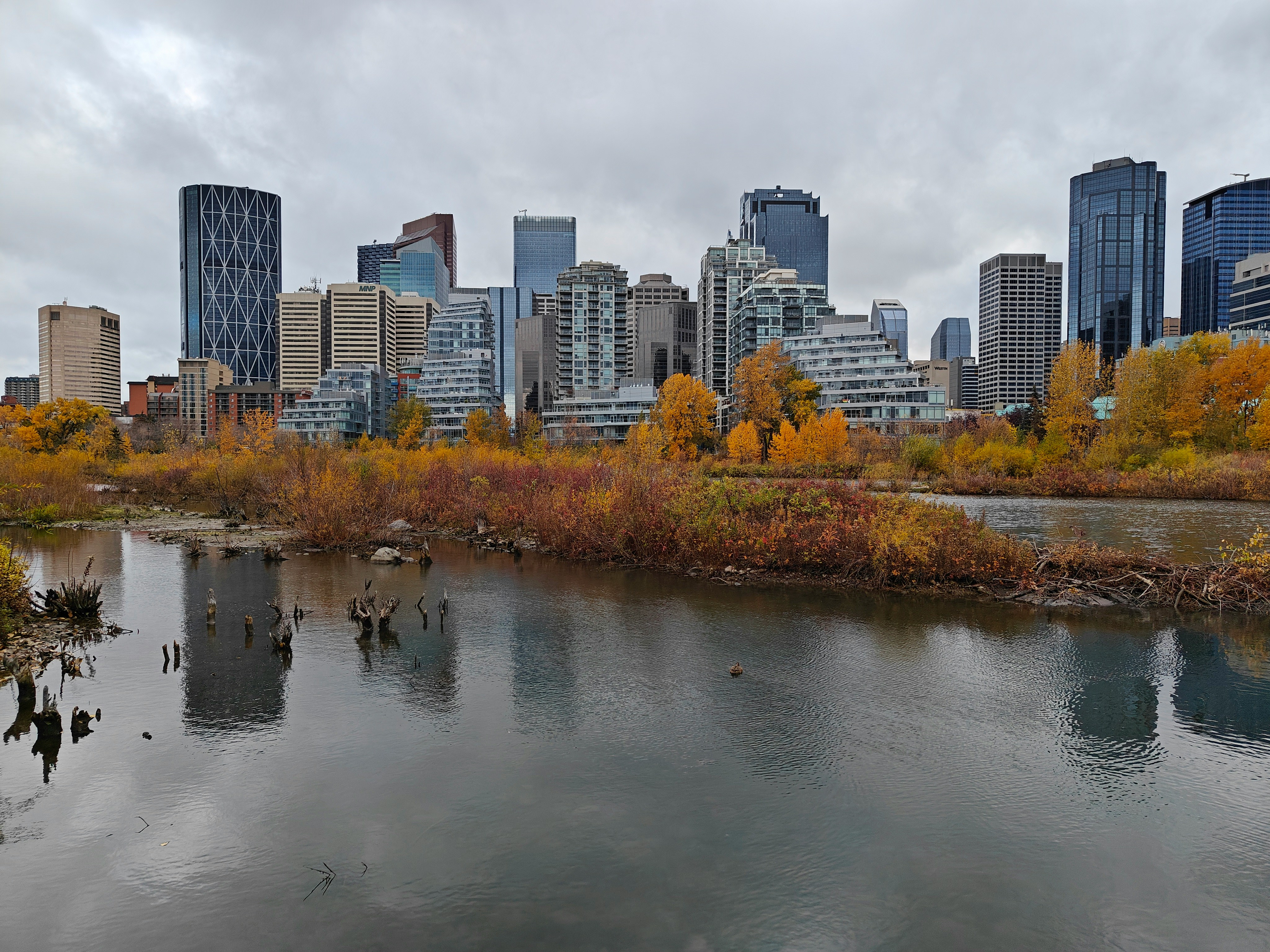 Professional SEO services helping Calgary businesses dominate local search results